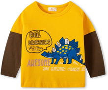 Load image into Gallery viewer, Toddler Little Boy Dinosaur Long Sleeve Shirt Basic 100% Cotton Crewneck Kids T-Shirt Top Tees
