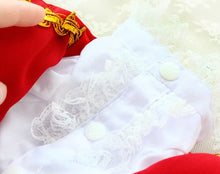 Load image into Gallery viewer, Handmade Unique Design Dog Clothes European Court Style Pet Costume Suit Lace Cuffs Collar Twin Sets Apparel Cat Poodle Maltese
