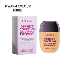Load image into Gallery viewer, Brightening Hydrating Concealer Foundation
