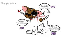 Load image into Gallery viewer, Handmade Unique Design Dog Clothes European Court Style Pet Costume Suit Lace Cuffs Collar Twin Sets Apparel Cat Poodle Maltese
