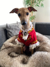 Load image into Gallery viewer, Handmade Unique Design Dog Clothes European Court Style Pet Costume Suit Lace Cuffs Collar Twin Sets Apparel Cat Poodle Maltese
