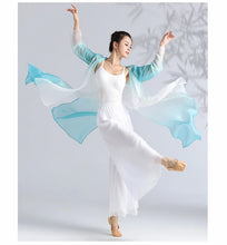 Load image into Gallery viewer, Classical Gradient Chiffon Dance Dress
