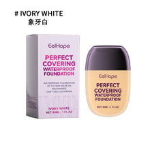 Load image into Gallery viewer, Brightening Hydrating Concealer Foundation
