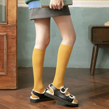 Load image into Gallery viewer, Solid Cotton Thigh High Socks
