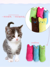 Load image into Gallery viewer, Catnip Teeth Grinding Plush Toy
