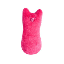 Load image into Gallery viewer, Catnip Teeth Grinding Plush Toy
