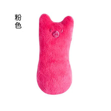 Load image into Gallery viewer, Catnip Teeth Grinding Plush Toy
