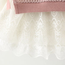 Load image into Gallery viewer, Autumn Knitted Baby Tutu Dress
