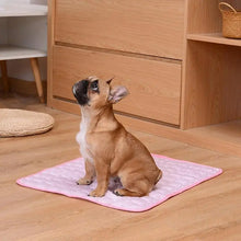 Load image into Gallery viewer, Dog Mat Cooling Summer Pad Mat For Dogs Cat Blanket Sofa Breathable Pet Dog Bed Summer Washable For Small Medium Large Dogs Car
