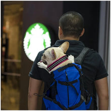 Load image into Gallery viewer, Hiking Pet Dog Carrier Travel Backpack Outdoor Ventilation Breathable Bicycle Motorcycle Outdoor Sport Mesh Bag Drop Shipping

