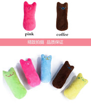 Load image into Gallery viewer, Catnip Teeth Grinding Plush Toy
