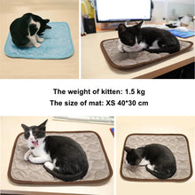Load image into Gallery viewer, Dog Mat Cooling Summer Pad Mat For Dogs Cat Blanket Sofa Breathable Pet Dog Bed Summer Washable For Small Medium Large Dogs Car

