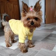 Load image into Gallery viewer, Cozy Pocket Dog Hoodie Coat
