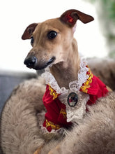 Load image into Gallery viewer, Handmade Unique Design Dog Clothes European Court Style Pet Costume Suit Lace Cuffs Collar Twin Sets Apparel Cat Poodle Maltese
