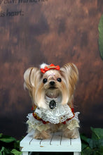 Load image into Gallery viewer, Handmade Unique Design Dog Clothes European Court Style Pet Costume Suit Lace Cuffs Collar Twin Sets Apparel Cat Poodle Maltese
