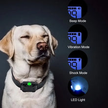Load image into Gallery viewer, Electric Dog Training Collar Waterproof Dog Bark Collar Pet With Remote Control Rechargeable Anti Barking Device All Size Dogs
