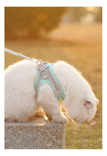 Load image into Gallery viewer, Cat Dog Harness Vest Chest Rope Set Reflective Breathable Adjustable Pet Harness for Small Medium Dogs Outdoor Walking
