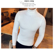 Load image into Gallery viewer, Slim Turtleneck Knit Pullover
