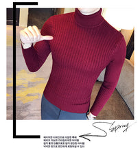 Load image into Gallery viewer, Slim Turtleneck Knit Pullover
