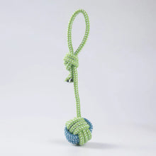 Load image into Gallery viewer, Pet Dog Toys For Large Small Dogs Toy Interactive Cotton Rope Mini Dog Toys Ball For Dogs Accessories Toothbrush Chew Puppy Toy
