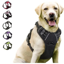 Load image into Gallery viewer, Complete Dog Collar Harness Set
