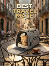 Load image into Gallery viewer, Airline Approved Pet Carrier Soft Sided Cat Dog Travel Bag Breathable Mesh Portable Foldable Puppy Kitten Transport Pouch Under
