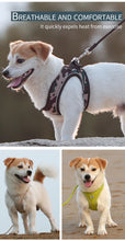Load image into Gallery viewer, Reflective Outdoor Walking Harness Set
