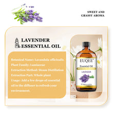 Load image into Gallery viewer, EUQEE Aromatherapy Essential Oil 4oz
