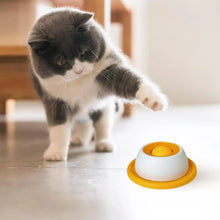 Load image into Gallery viewer, Pet Feeding Accessories Dog Treat Toy Puzzle Toys For Bored Puppy Slow Feeder Puppy Supplies For Healthy Eating Food Crate
