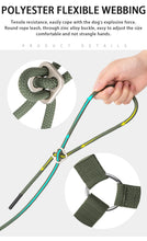 Load image into Gallery viewer, Reflective Outdoor Walking Harness Set
