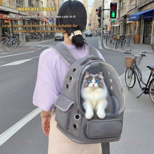 Load image into Gallery viewer, Transparent Pet Carrier Backpack Outdoor Travel Essential for Cats Small Dogs Breathable Design Comfortable Premium Pet Supplies
