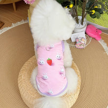 Load image into Gallery viewer, Spring pet apparel: cat &amp; dog clothing - cartoon 3d print, teddy style, cute &amp; breathable, anti-shedding, dropshipping available
