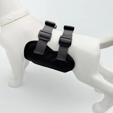 Load image into Gallery viewer, Pet Physiological Pants Outdoor Anti Harassment Safety Pants Comfortable Breathable Teddy Golden Retriever Male Dog Universal
