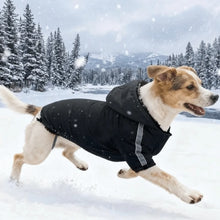 Load image into Gallery viewer, Reflective Waterproof Winter Pet Sweatshirt
