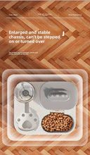 Load image into Gallery viewer, Large Capacity Pet Automatic Feeders and Water Dispensers, Suitable for Cats and Dogs.
