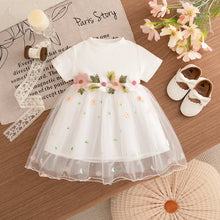Load image into Gallery viewer, Floral Mesh Princess Baby Dress
