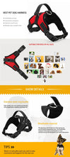 Load image into Gallery viewer, Quick Release Breathable Puppy Harness
