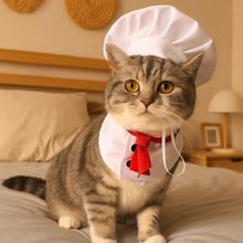 Load image into Gallery viewer, Pet Accessories Cute Pet Cooking King Hat Adjustable Comfortable Chef Hat Set Stylish Cat Cosplay Hat Pet Fashion Show
