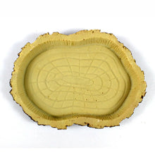 Load image into Gallery viewer, Pet Reptile Feeder Bowl Basin Resin Non-Toxic Food Water Pot Turtles Tortoise Scorpion Lizards Crabs for Pets Feeding Tray

