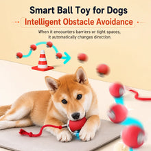 Load image into Gallery viewer, Smart Automatic Rolling Dog Ball
