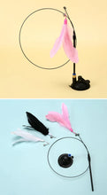 Load image into Gallery viewer, Interactive Cat Toy Handfree Cat Stick Playing Kitten Playing Teaser Wand Toy Suction Cup Bird/Feather Cat Wand Pet Supplies
