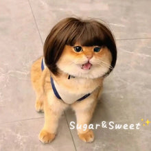 Load image into Gallery viewer, Cat Wig Accessories Dog Headdress Funny Costume Puppy Cosplay Dress Up Cute Pet Wig Cosplay Funny Props Head Accessories
