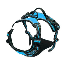 Load image into Gallery viewer, Complete Dog Collar Harness Set
