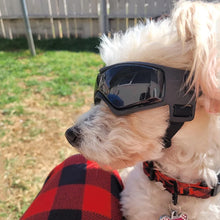 Load image into Gallery viewer, Pet Accessories Dog Outdoor UV Protection Sunglasses Cat Dog Goggles for Small Medium Breed Puppy Glasses Adjustable Straps

