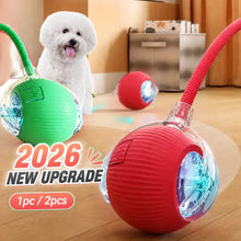 Load image into Gallery viewer, Smart Automatic Rolling Dog Ball
