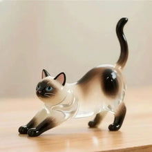 Load image into Gallery viewer, New Cat Hair Storage Keychain Bag Pendant Transparent Pet Fur Keepsake Capsule Souvenir Collection Gift Decoration Accessories
