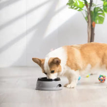 Load image into Gallery viewer, Support Accessory Floating Pet Bowl
