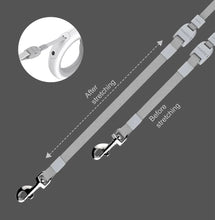 Load image into Gallery viewer, Pet Leash Accessories Pet Poop Bag Dispenser Extension Belt for 2 Pet Replaceable Belt Poop Bags for Pet Walk Ease Moestar
