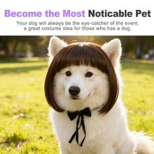 Load image into Gallery viewer, Pet Wigs Cosplay Props Dog Cat Cross-Dressing Hair Set Photography Funny Props Head Accessories Prank Pet Supplies Costumes DIY
