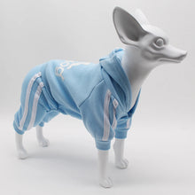 Load image into Gallery viewer, Comfortable Spring Dog Sports Suit
